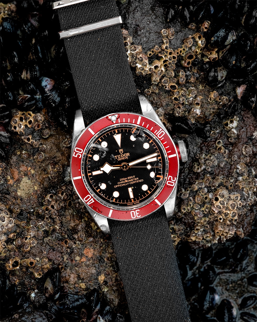 帝舵机芯受损如何解决 帝舵机芯受损如何解决