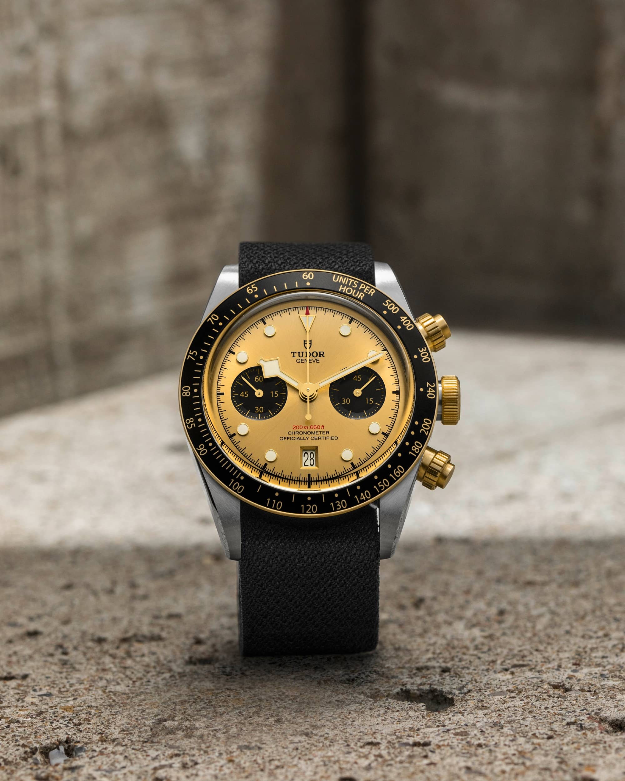 帝舵怎么看型号