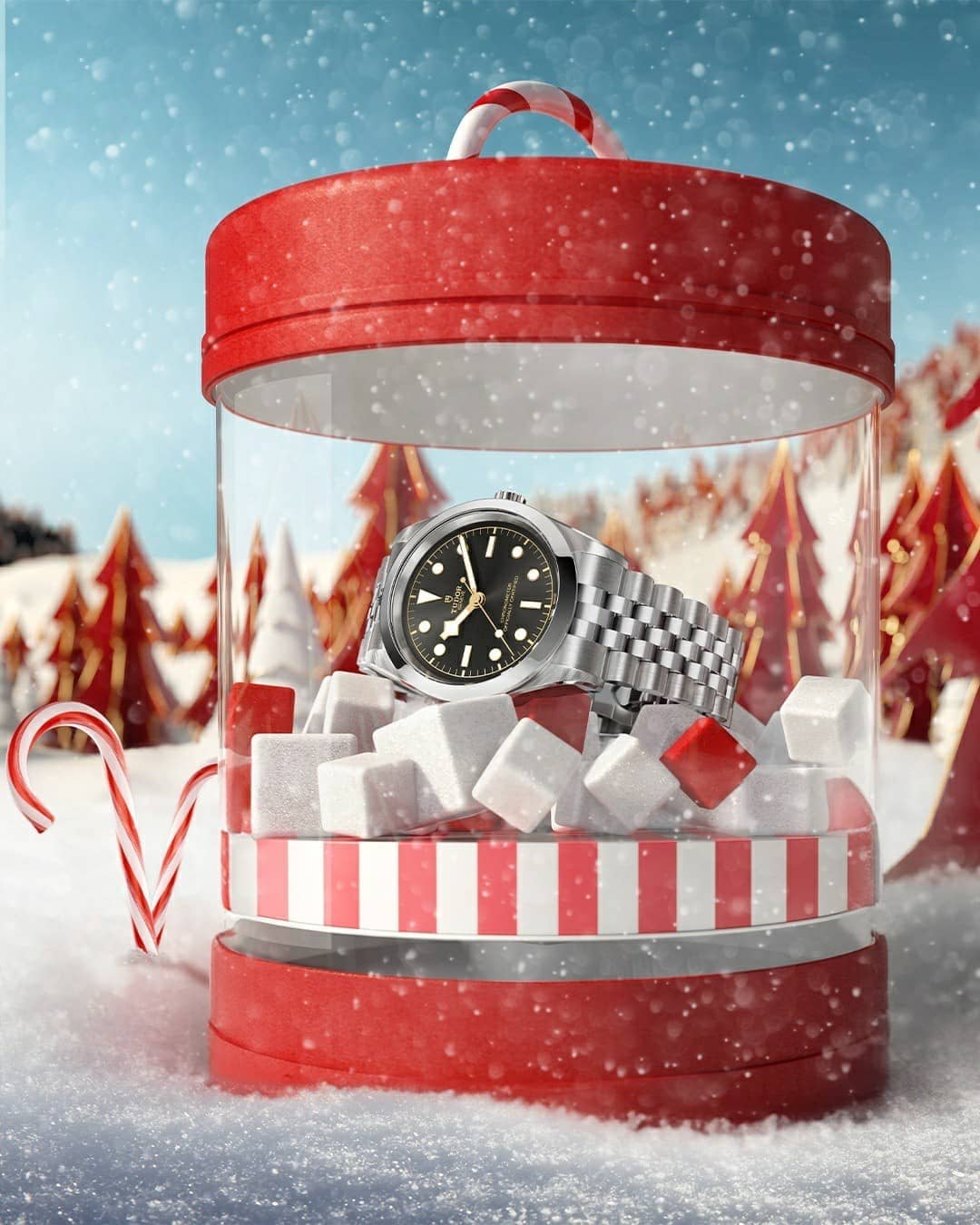 帝舵真假鉴定的核心干货分享