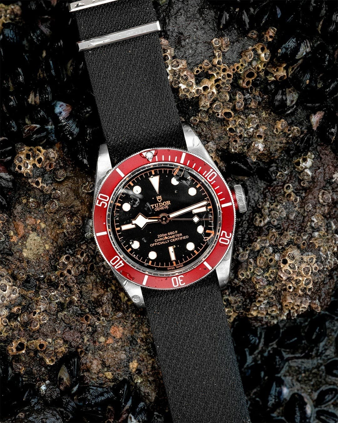 帝舵腕表生锈了解决技巧